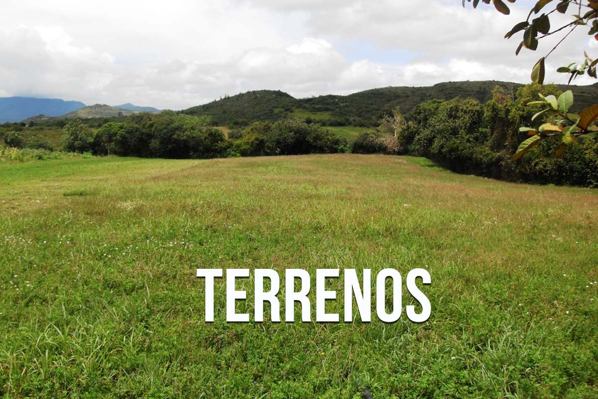 TERRENOS